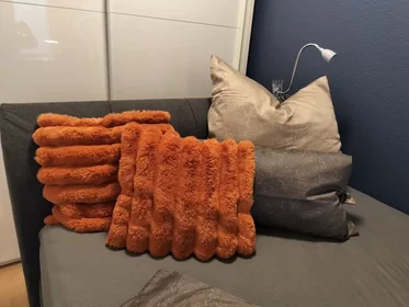 Logement entier à Alte Eppelheimer Straße, Bergheim, image 10 de 10