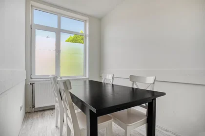 Shared room at Beetsstraat, Laak, image 6 of 10