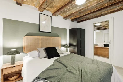 Całe miejsce Carrer de la Victòria, 1, Ciutat Vella, 08003 Barcelona, Spain, obraz 18 23