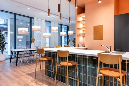 Appartamento intero in Rue Neerveld, immagine 8 di 16