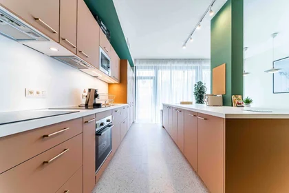 Appartamento intero in Rue Neerveld, immagine 9 di 16