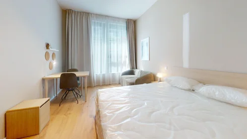 Appartamento intero in Rue Neerveld, immagine 10 di 16