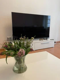 Habitación privada en Ziegelgasse, imagen 2 de 26