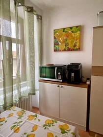 Habitación privada en Ziegelgasse, imagen 14 de 26