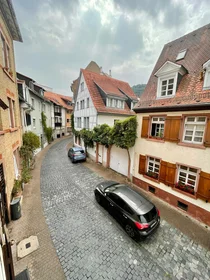 Habitación privada en Ziegelgasse, imagen 26 de 26