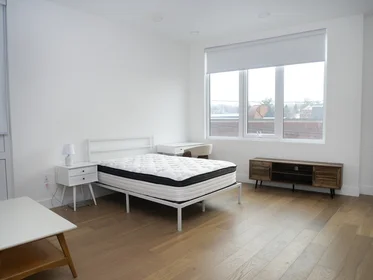 Studio à 38, Hichborn, Unit 202, Brighton, Boston, MA, 02135, image 1 de 8