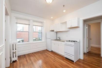 Entire place in residence at 49, Worthington St., Unit 11, Mission Hill, Boston, MA, 02120, image 12 of 12