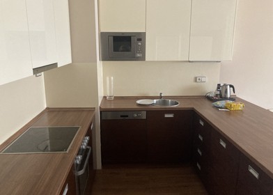 Two bedroom accommodation in Plzeň