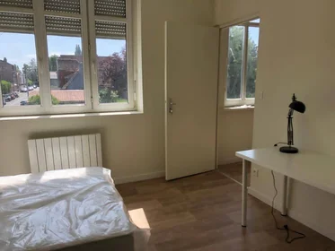 Habitación privada en Villeneuve-d'ascq, 59493, imagen 1 de 10