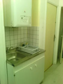 Prywatny pokój Saint-martin-d'hères, 38400, obraz 1 15