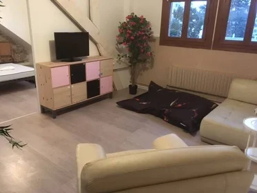 Prywatny pokój Tours, 37000, obraz 1 8