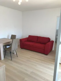 Stanza privata in Lyon 8e arrondissement, 69008, immagine 1 di 10