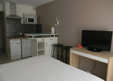 Chambre à louer avec lit double Aix-en-provence