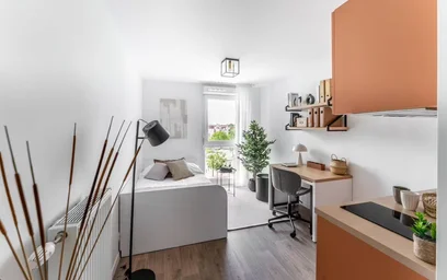 Habitación privada en residencia en Guyancourt, 78280, imagen 2 de 36