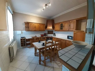 Privatzimmer in der Roubaix, 59100, bild 19 von 32