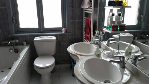 Privatzimmer in der Roubaix, 59100, bild 31 von 32