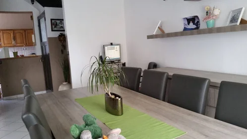 Privatzimmer in der Roubaix, 59100, bild 32 von 32