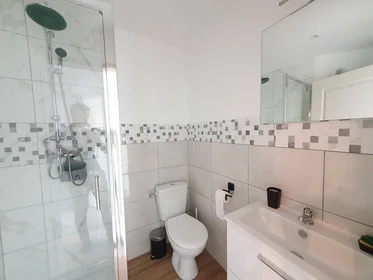 Privatzimmer in der Roubaix, 59100, bild 7 von 32