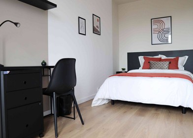 Troyes de çift kişilik yataklı kiralık oda