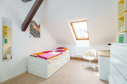 Quarto privado em Kolčavka, Libeň, imagem 1 de 9