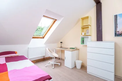 Quarto privado em Kolčavka, Libeň, imagem 2 de 9