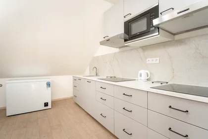 Quarto privado em Kolčavka, Libeň, imagem 7 de 9