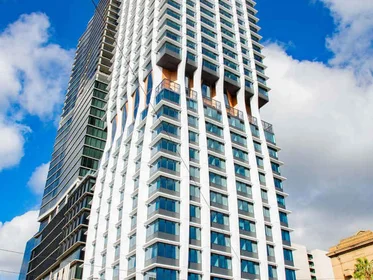 Apartamento inteiro em residência em 269 North Terrace, Adelaide SA 5000, Australia, imagem 12 de 49