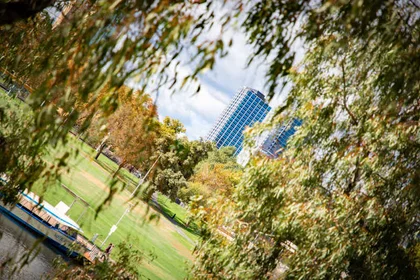 Logement entier en résidence à 269 North Terrace, Adelaide SA 5000, Australia, image 25 de 49