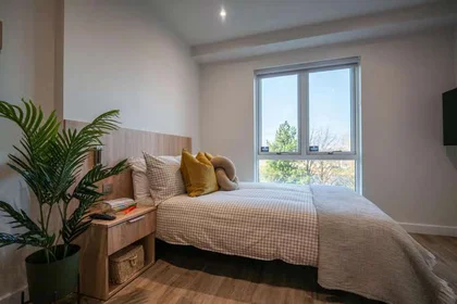 Studio im Wohnheim in der 3 Bulk Rd, Lancaster LA1 1DT, United Kingdom , bild 1 von 34