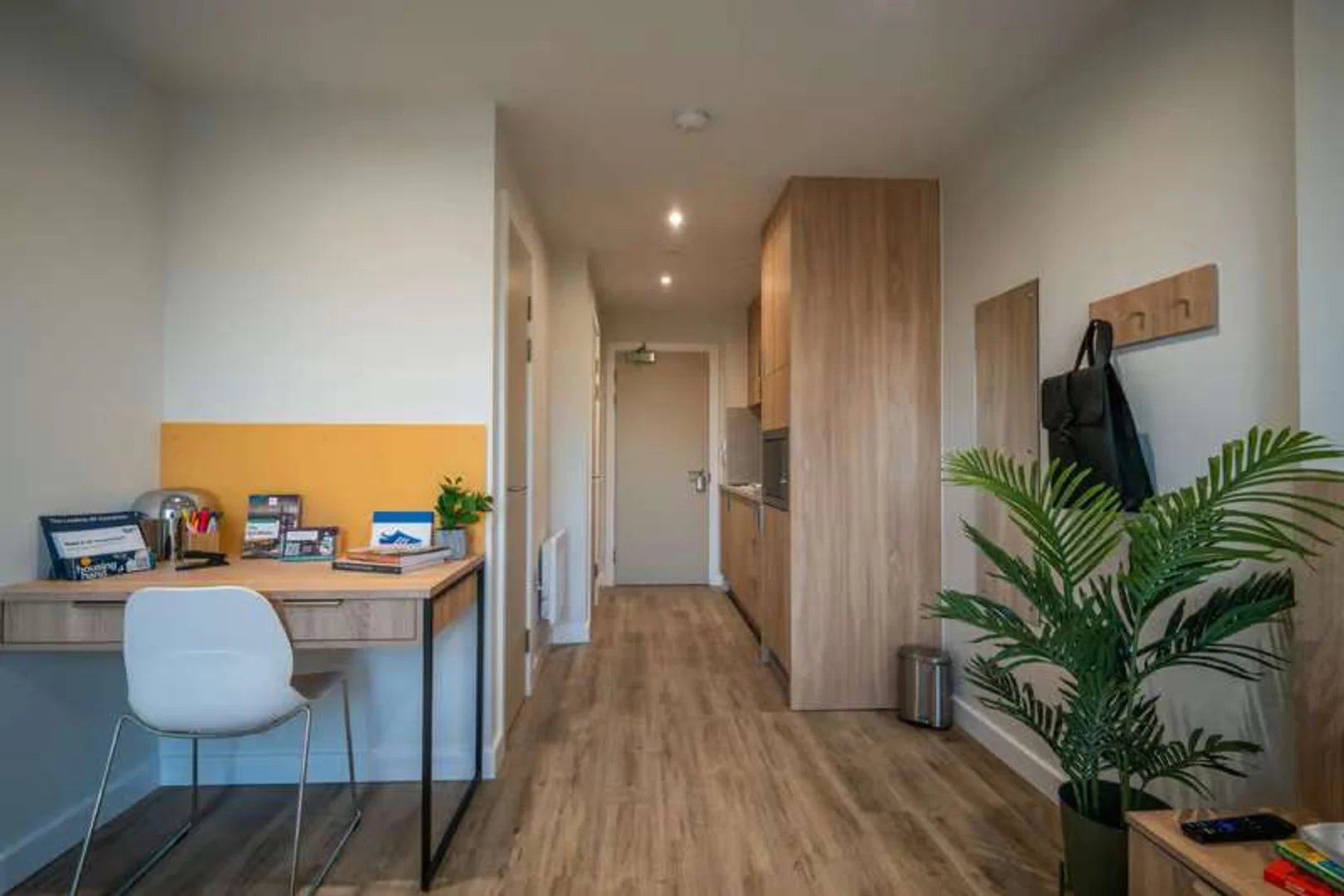 Erschwingliche Studiowohnung mit wesentlicher Ausstattung in 