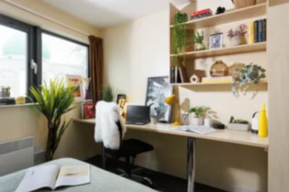 私人房间 在住宅内 在 Curzon House, Curzon St, Nottingham NG3 1DJ, United Kingdom, 20的图像20