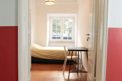 Room for rent in a shared flat in {area}
