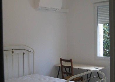 Location mensuelle de chambres à Perpignan