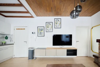 Entire apartment at Chaussée d'Anvers, image 5 of 22