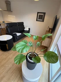 Privatzimmer in der Hinter der Hecke, bild 1 von 10