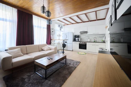 Entire apartment at Chaussée d'Anvers, image 2 of 20