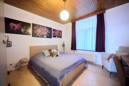 Entire apartment at Chaussée d'Anvers, image 13 of 20