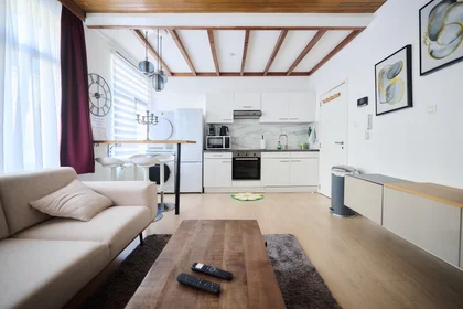 Entire apartment at Chaussée d'Anvers, image 3 of 20