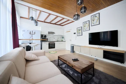 Entire apartment at Chaussée d'Anvers, image 5 of 20