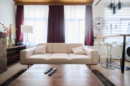 Entire apartment at Chaussée d'Anvers, image 6 of 20
