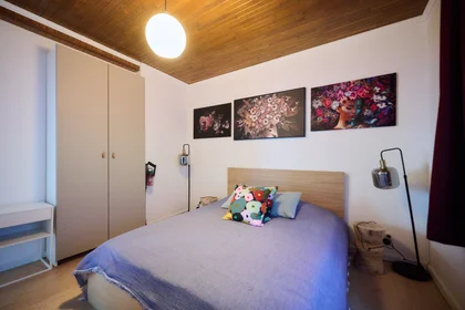Entire apartment at Chaussée d'Anvers, image 12 of 17