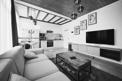 Entire apartment at Chaussée d'Anvers, image 3 of 17