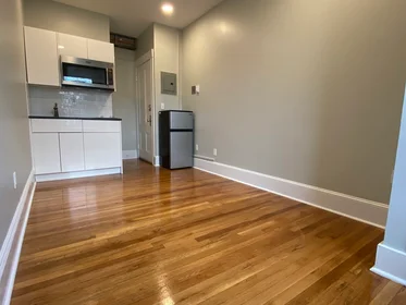 Studio in residence at 399, Marlborough, Unit 11, Back Bay, Boston, MA, 02115, image 2 of 6