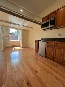Studio in residence at 507, Beacon, Unit 11, Back Bay, Boston, MA, 02215, image 2 of 6