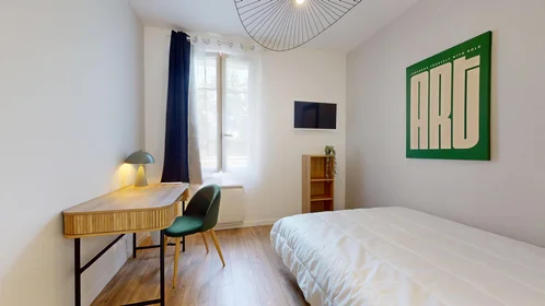 Stanza privata in 9 Rue Grand Pin, immagine 11 di 15