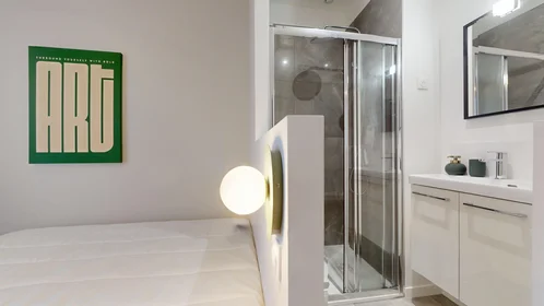 Stanza privata in 9 Rue Grand Pin, immagine 13 di 15