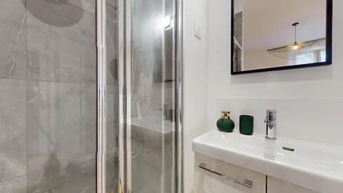 Stanza privata in 9 Rue Grand Pin, immagine 15 di 15