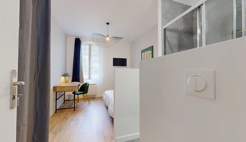 Stanza privata in 9 Rue Grand Pin, immagine 10 di 15