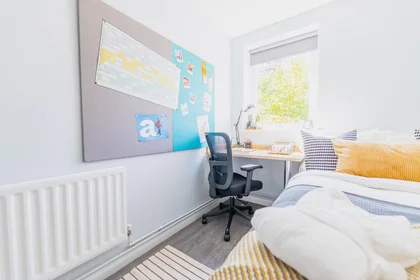 Stanza privata in Elvetham Road, Birmingham, B15 2NL, immagine 14 di 49