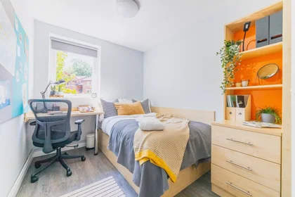 Stanza privata in Elvetham Road, Birmingham, B15 2NL, immagine 37 di 49